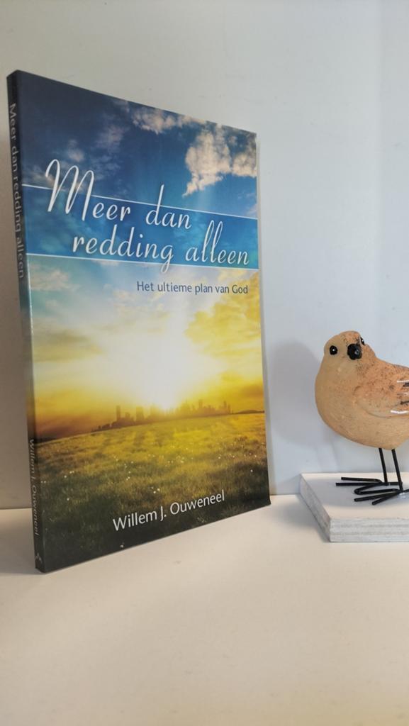 Ouweneel, Willem J.; Meer dan redding alleen, Boeken, Godsdienst en Theologie, Ophalen of Verzenden, Gelezen, Christendom | Protestants