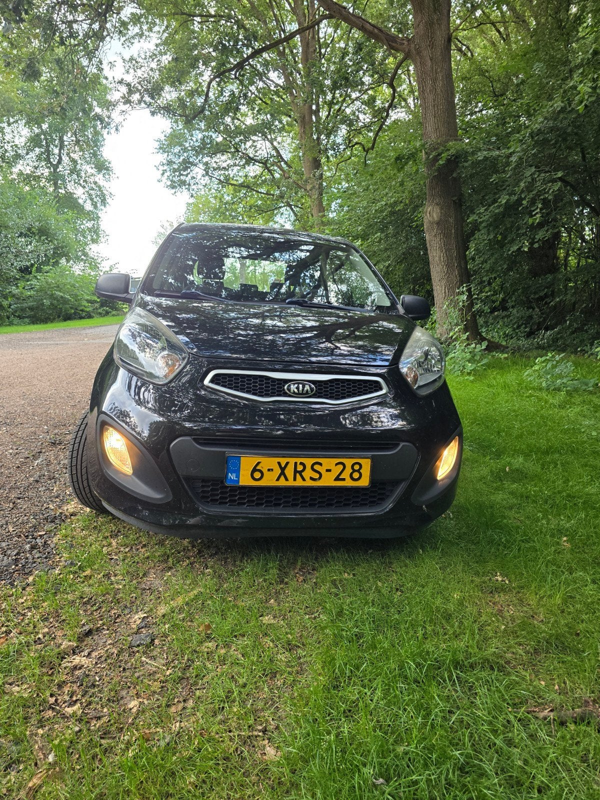 Kia Picanto 1.0 Cvvt 5-DRS 2014 Zwart 101126km, Voorwielaandrijving, Zwart, 400 kg, Zwart