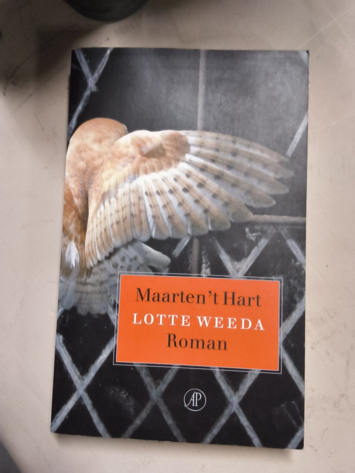 Marion Bloem - Meer dan mannelijk (Roman), Ophalen of Verzenden, Gelezen, Marion Bloem, Nederland