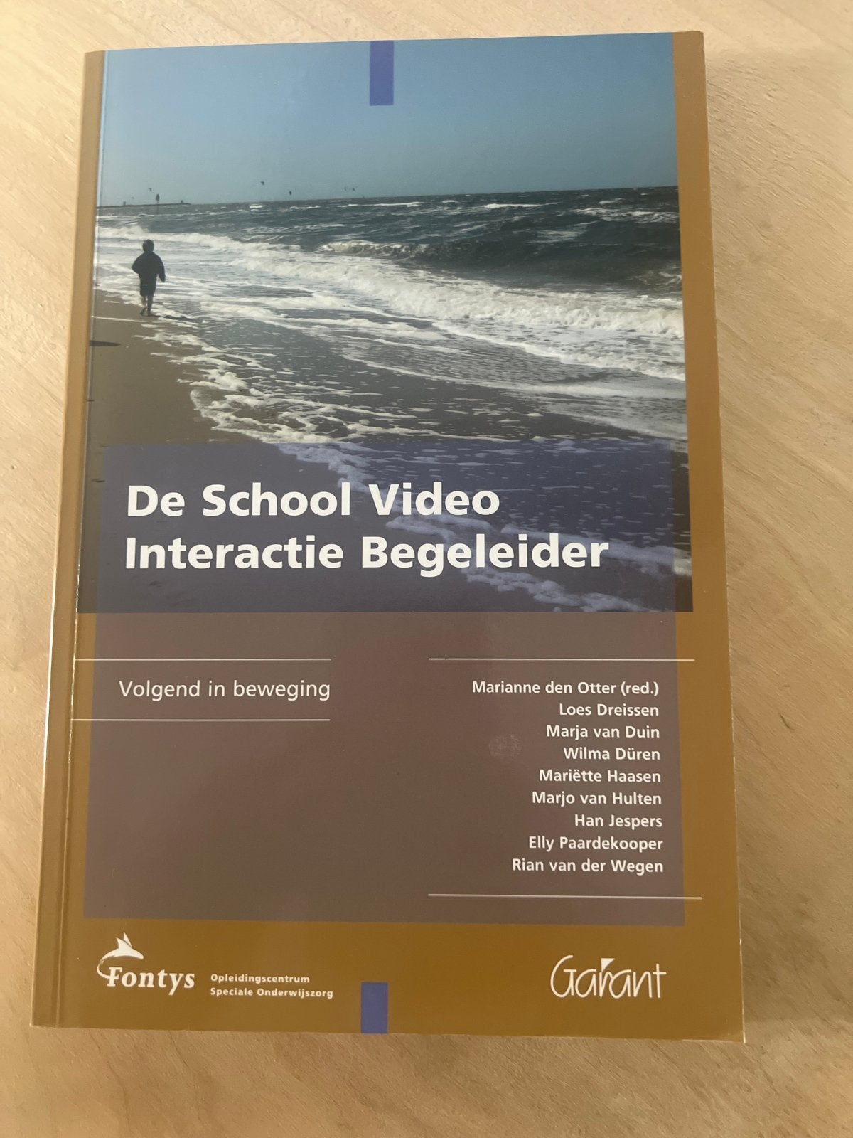 De School Video Interactie Begeleider - Fontys, Boeken, Schoolboeken, Gelezen, Overige vakken, Overige niveaus, Ophalen of Verzenden