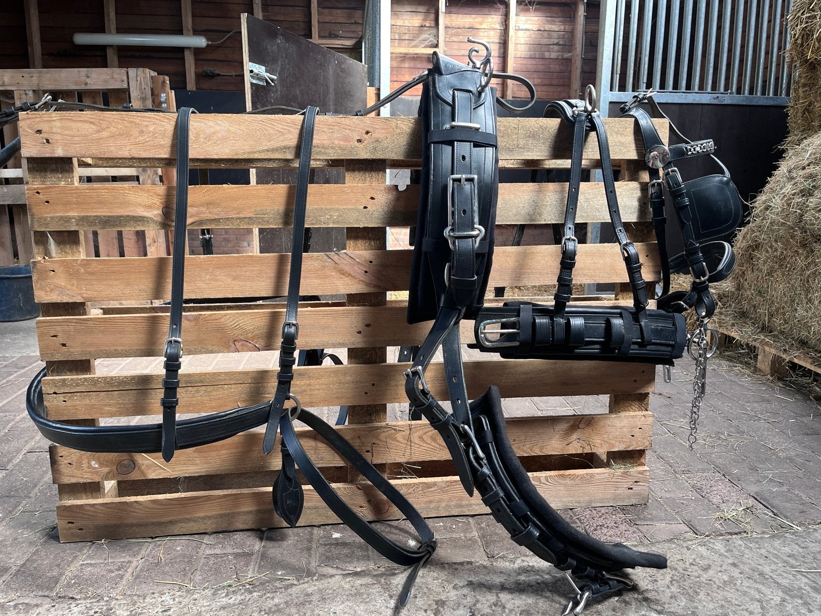 Mentuig Ideal maat Cob - zgan, Dieren en Toebehoren, Paarden en Pony's | Hoofdstellen en Tuigage, Ophalen, Zo goed als nieuw, Overige soorten