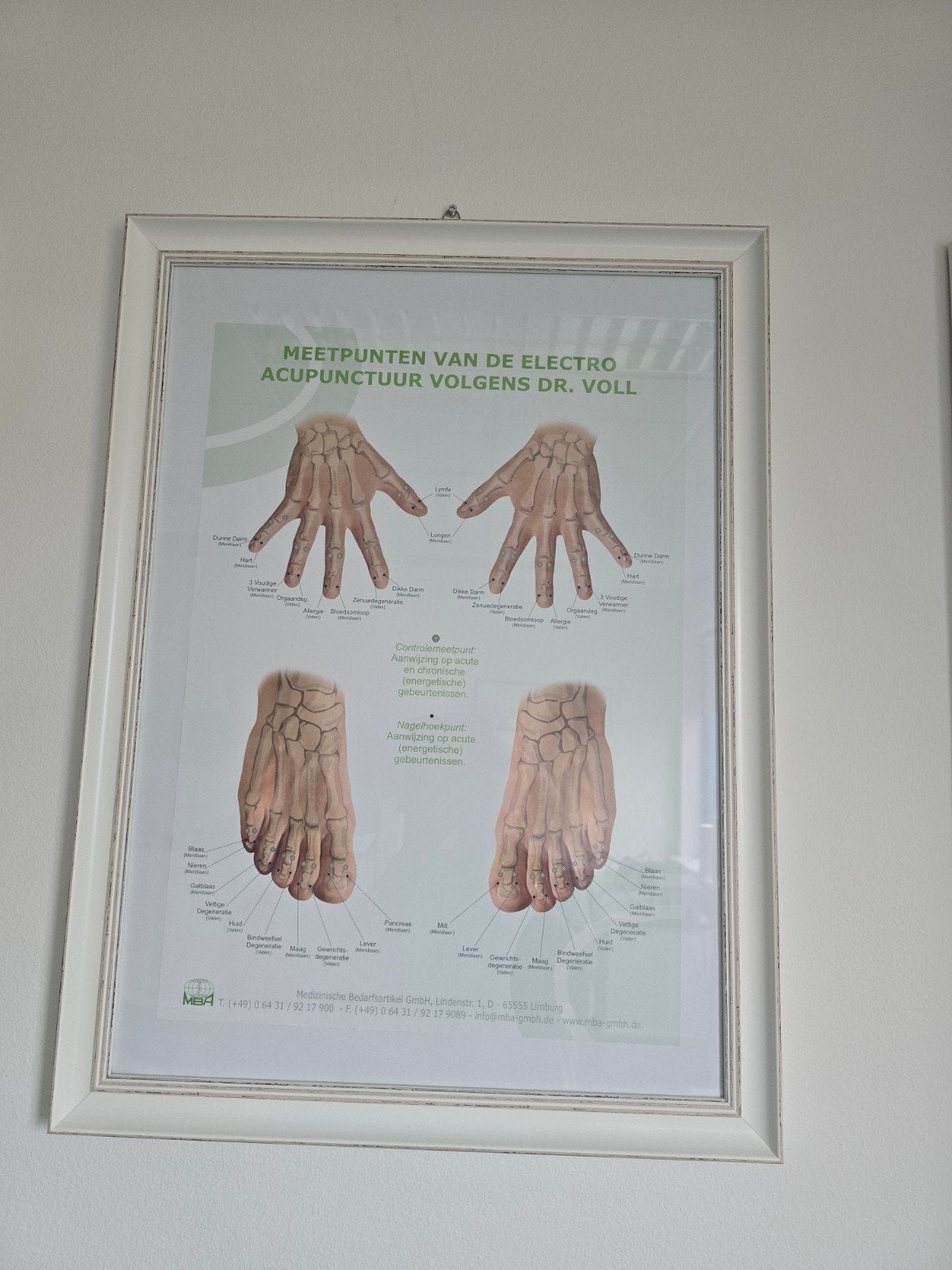 Bioresoantie posters, Ophalen of Verzenden