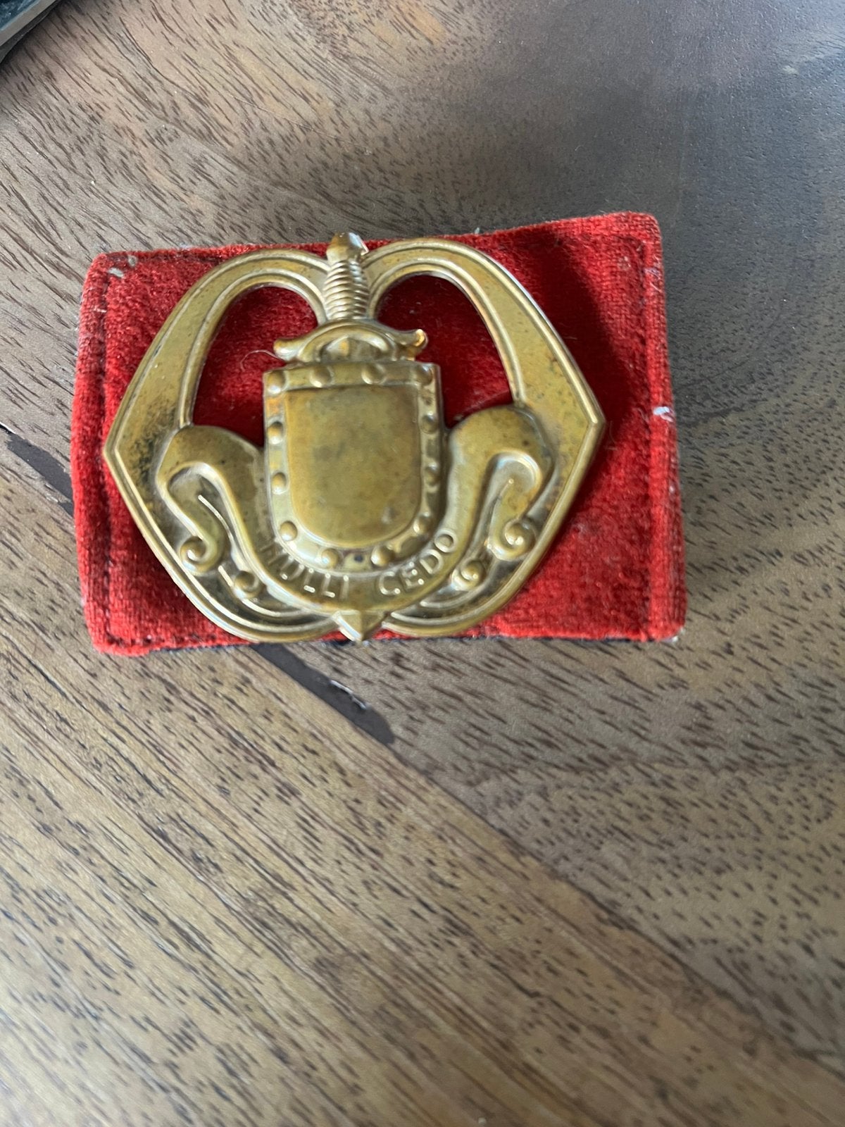Legerspeld, Verzamelen, Ophalen of Verzenden, Landmacht, Nederland, Mes of Dolk