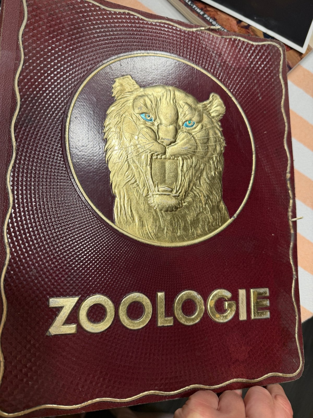 Antiek Zoologie Album met Dierenkaarten, Ophalen of Verzenden