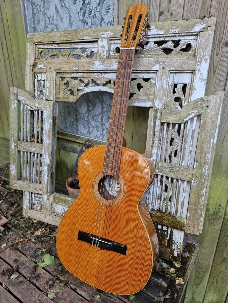 Geweldig mooie Spaanse gitaar te koop, Muziek en Instrumenten, Ophalen, Zo goed als nieuw, Klassieke of Spaanse gitaar
