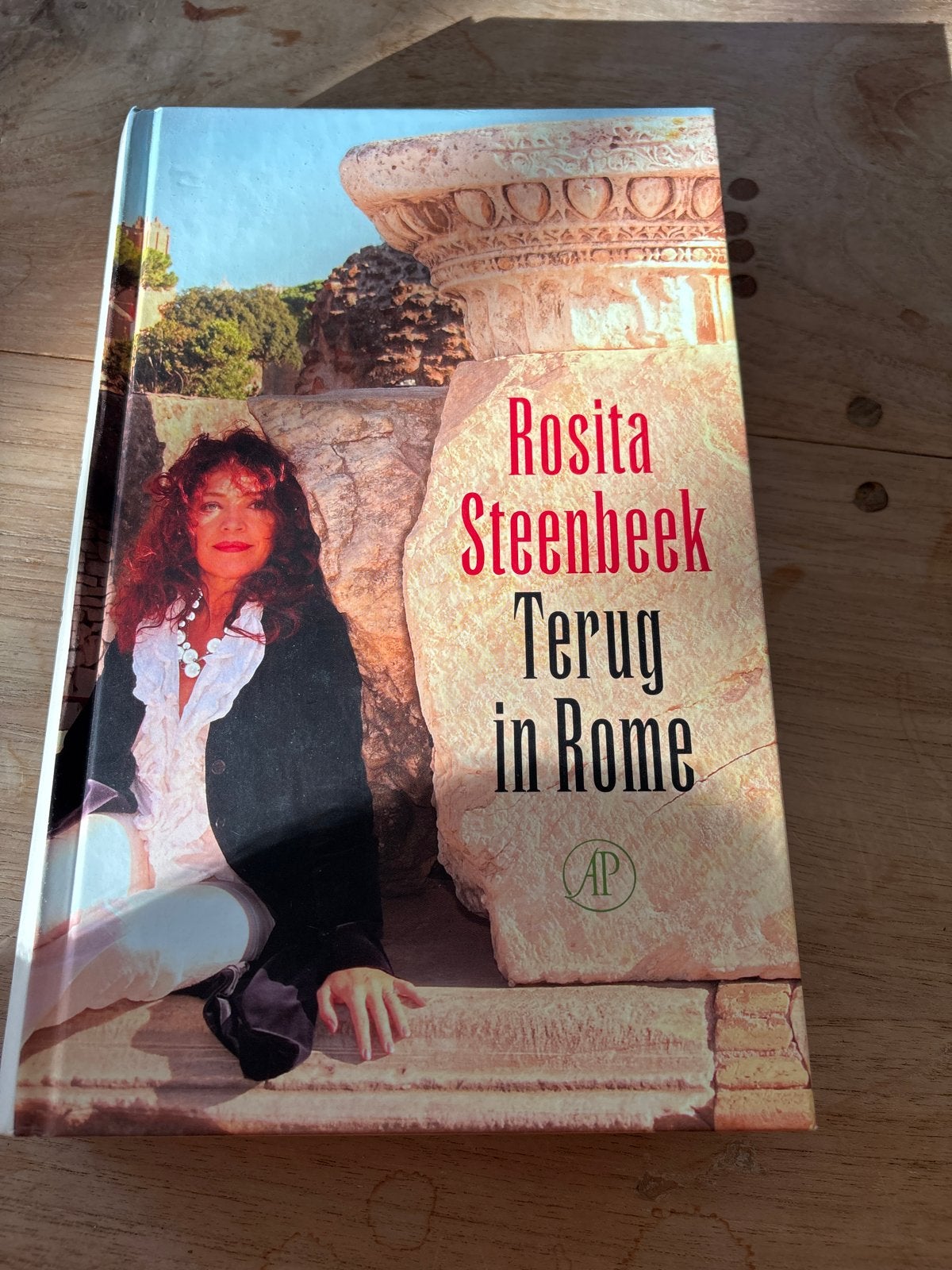 Rosita Steenbeek - Terug in Rome, Ophalen of Verzenden, Gelezen, Nederland