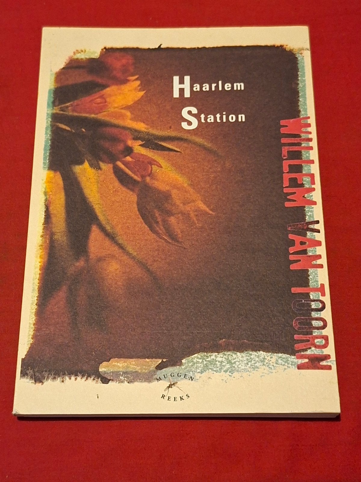 Haarlem Station - Willem van Toorn (Muggenreeks 2000), Ophalen of Verzenden