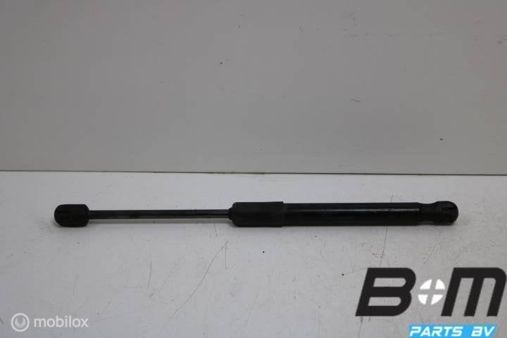 Gasdrukveer motorkap Audi A6 4G 4G8823359A, Gebruikt