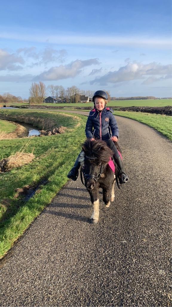 Prachtige, lieve shetlander kinderpony, Dieren en Toebehoren, Pony's, Merrie, A pony (tot 1.17m)