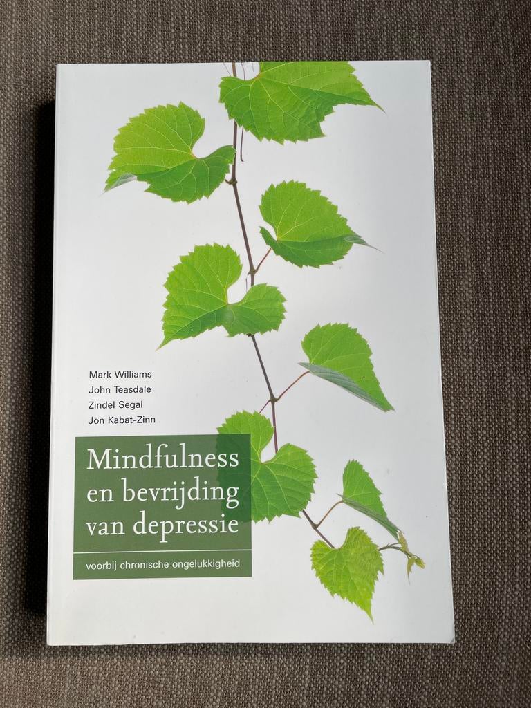 Mark Williams - Mindfulness en bevrijding van depressie, Ophalen of Verzenden, Zo goed als nieuw, Mark Williams