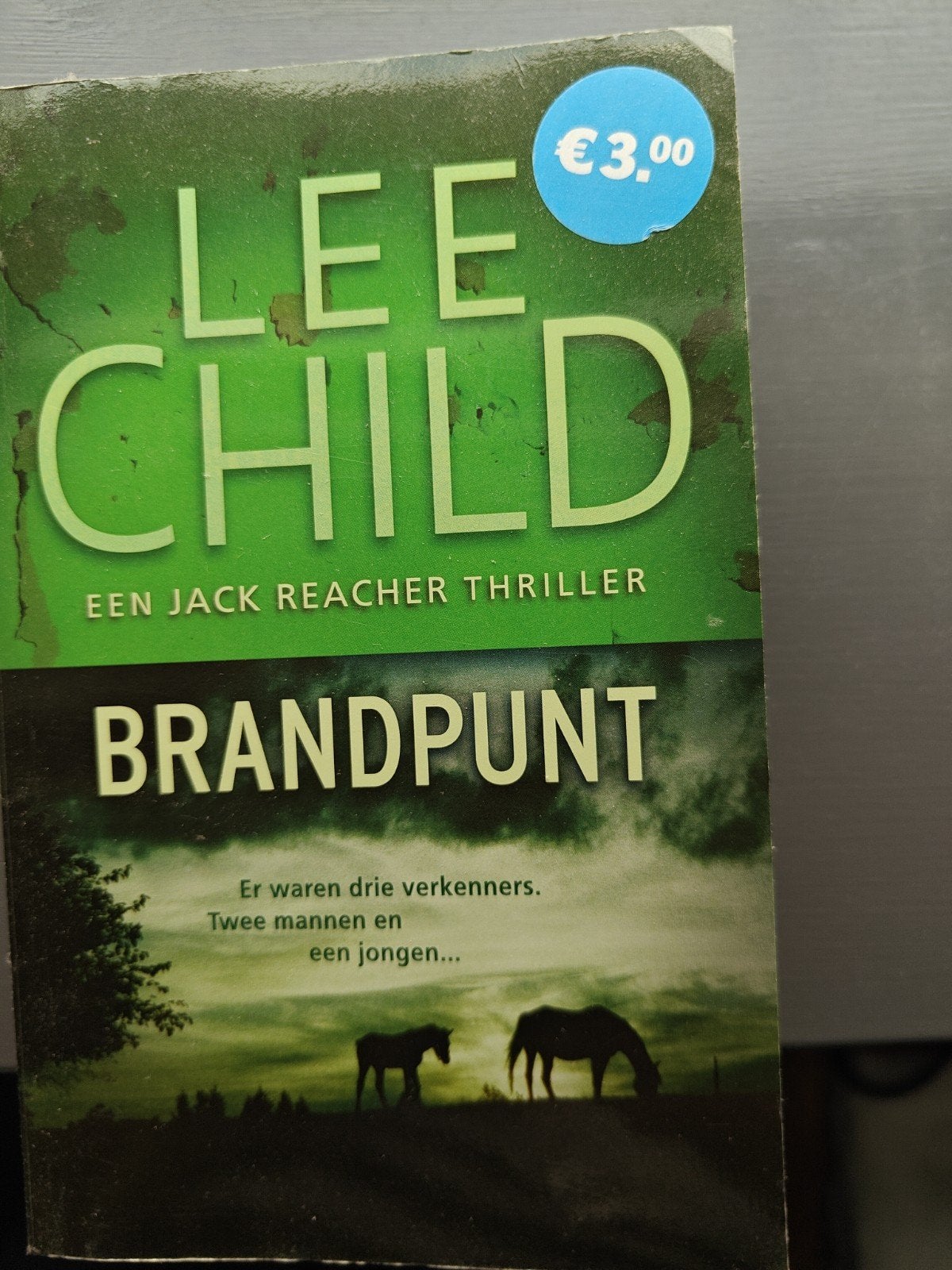 Lee Child - Brandpunt (Jack Reacher Thriller), Boeken, Ophalen of Verzenden, Gelezen, Lee Child