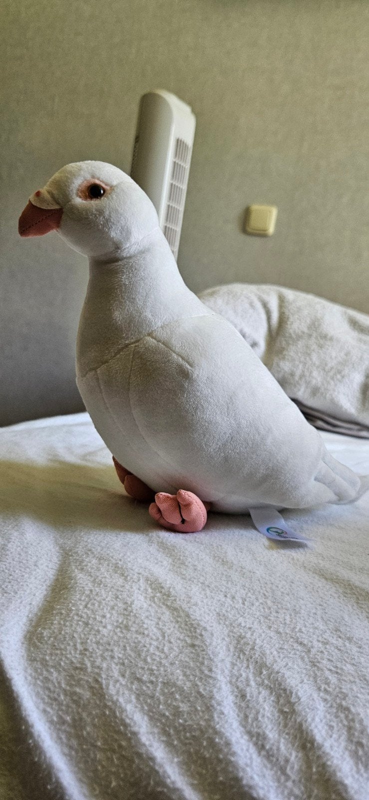 Witte Duif Knuffel - Zachte Pluche Vogel, Overige typen, Ophalen of Verzenden, Zo goed als nieuw, Middelgroot (20 tot 80 cm)