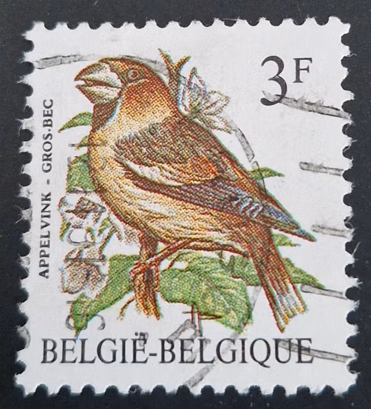 België 1985 - OBP 2193-2196 - Buzin Vogels Appelvink, Frankeerzegel, Ophalen of Verzenden, Gestempeld, Gestempeld