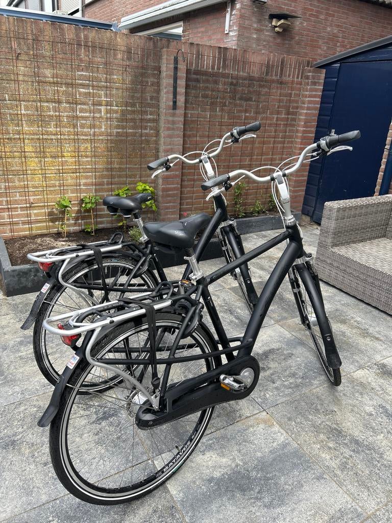 Batavus Mambo Damesfiets maat 48 - Comfortabel en Robuust, Fietsen en Brommers, Fietsen | Dames | Damesfietsen, Ophalen, Versnellingen