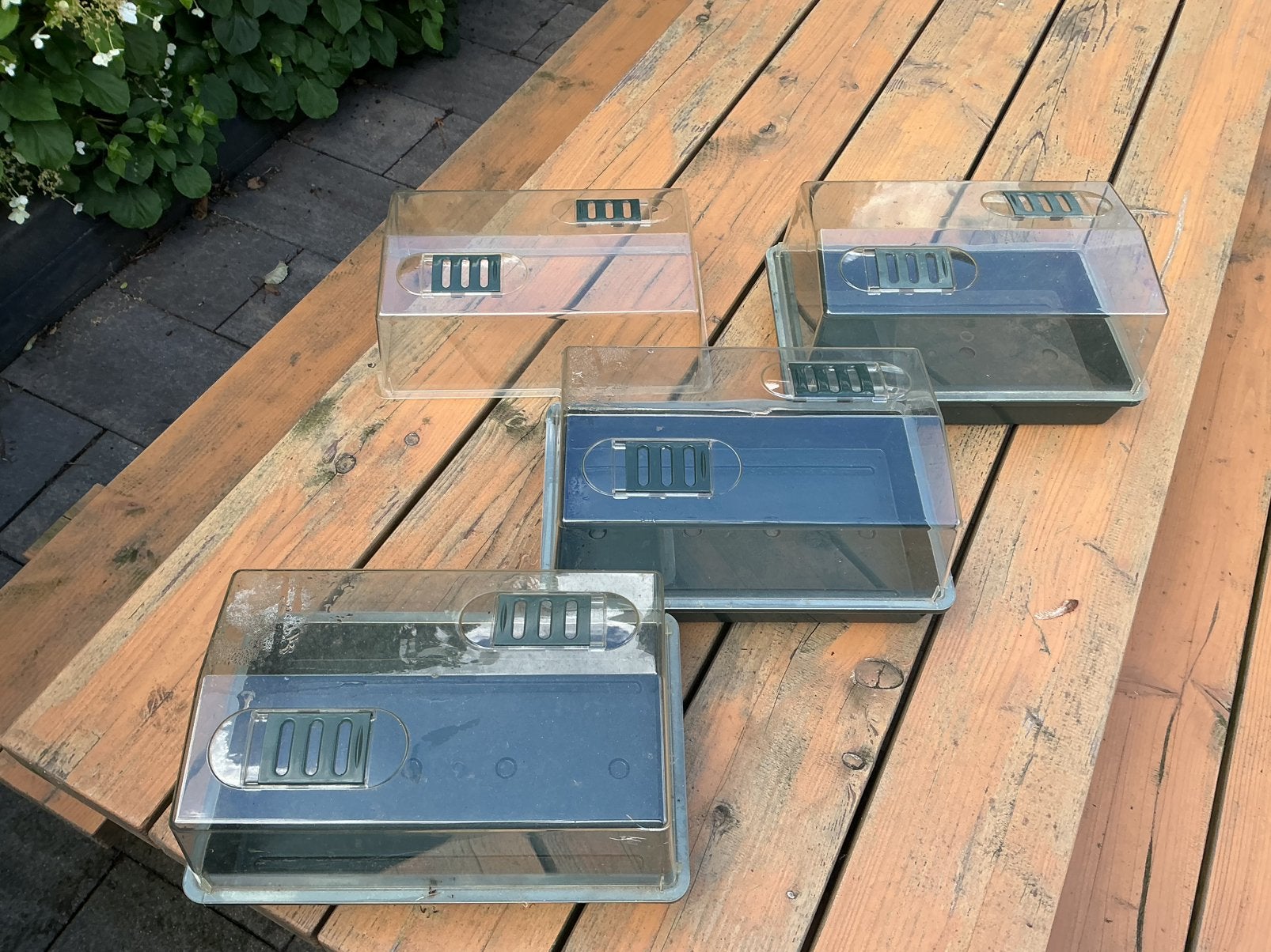 3 kweekbakjes plus een losse deksel, Ophalen