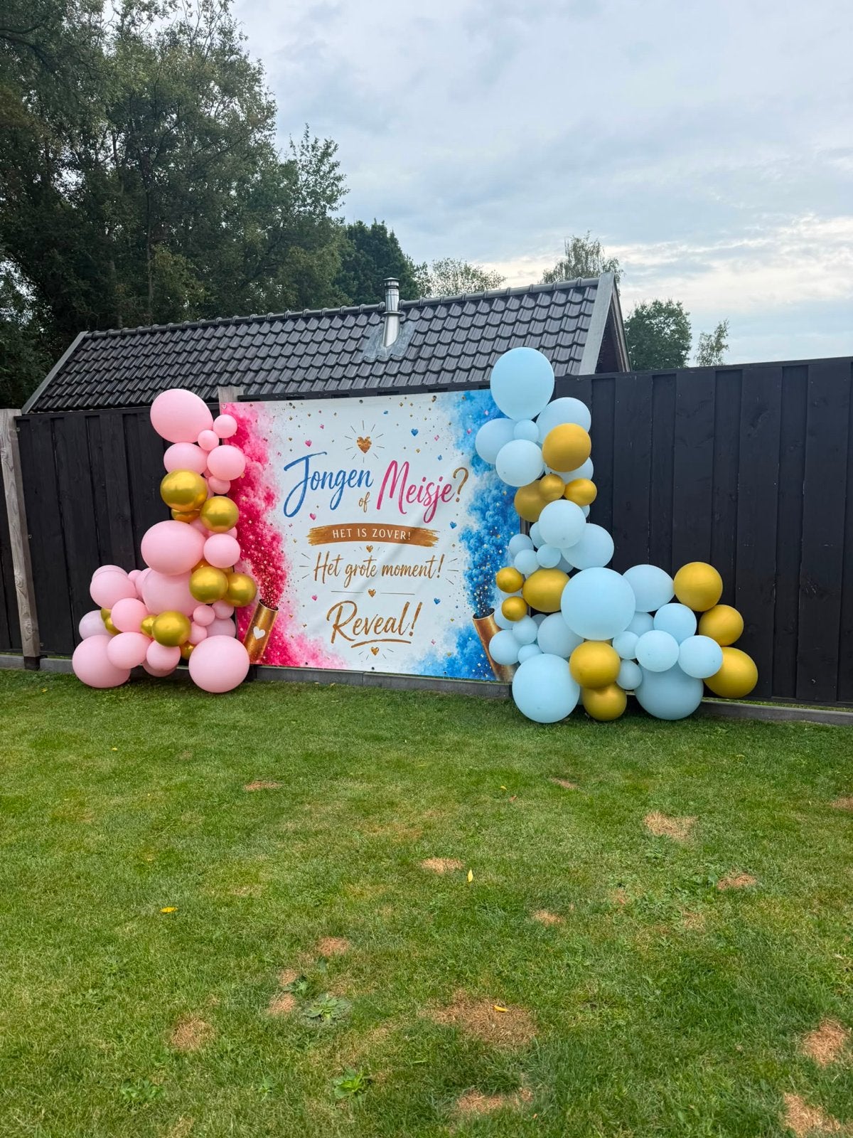 Te huur! Spandoek voor Gender Reveal - Jongen of Meisje?, Ophalen of Verzenden, Zo goed als nieuw, Versiering, Geboorte of Huwelijk