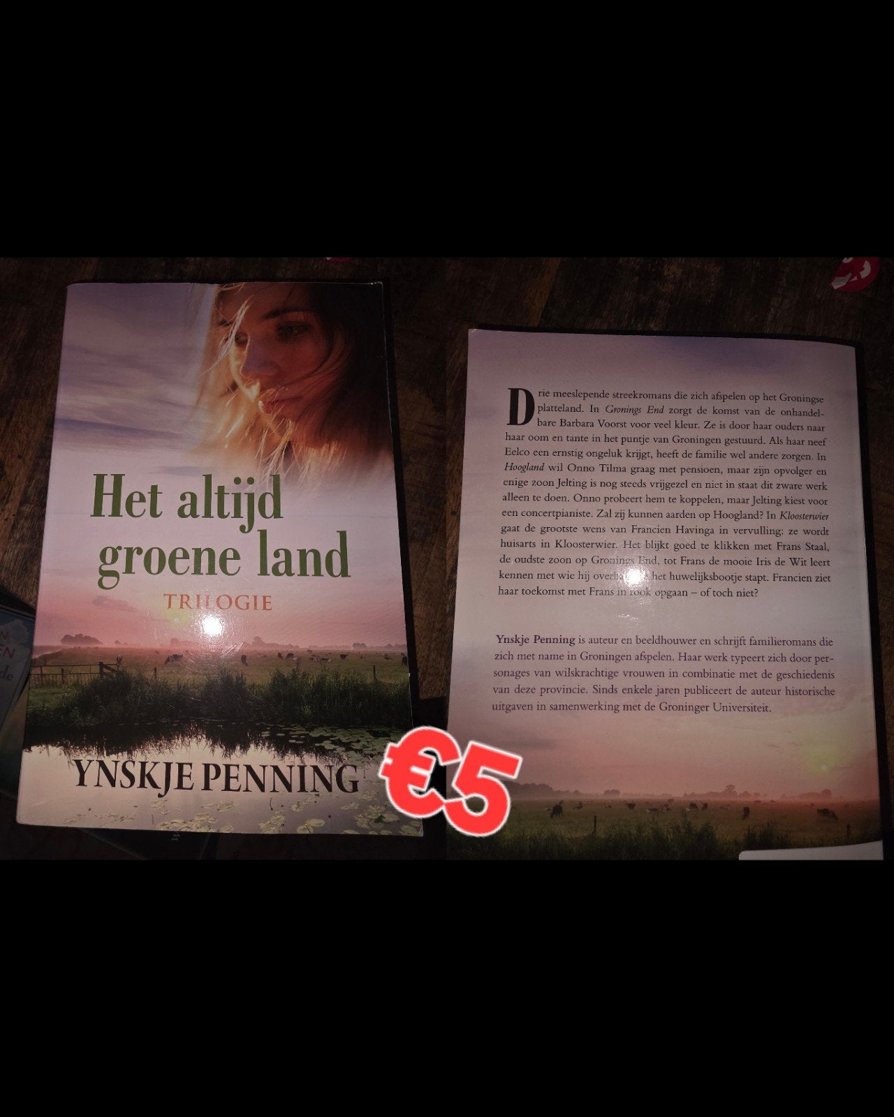 het altijd groene land ynskje penning, Boeken, Ophalen of Verzenden