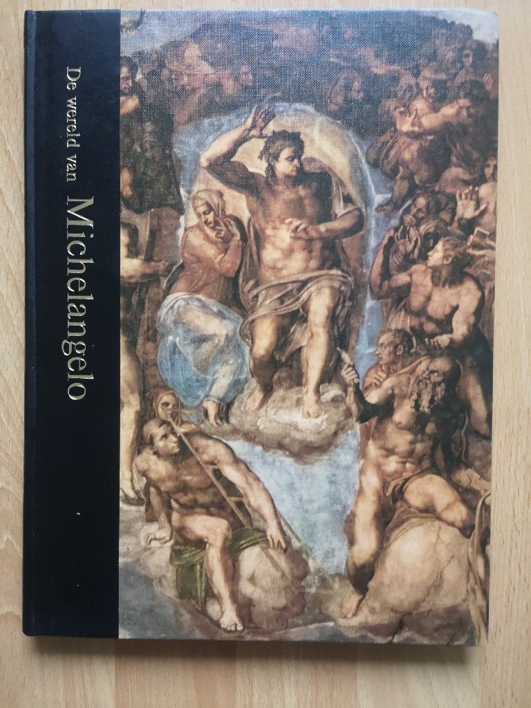 De wereld van Michelangelo, 199 pagina's, met uitklapplaat, Ophalen of Verzenden, Zo goed als nieuw