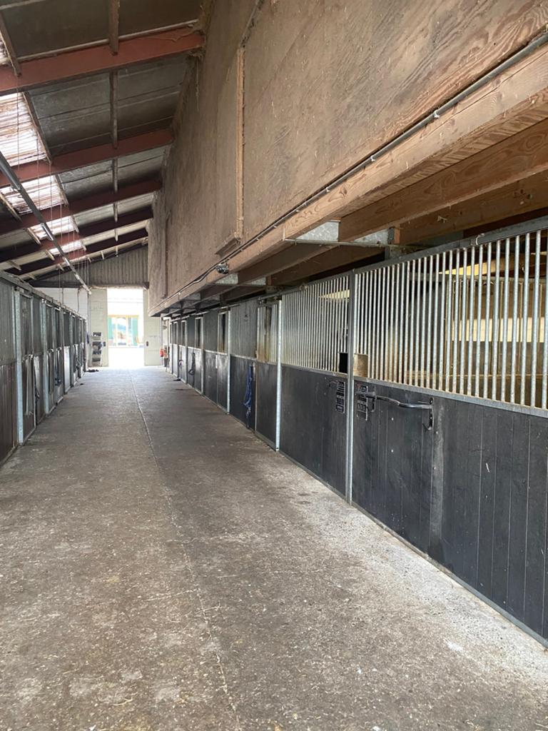 Voorwand paardenbox, Dieren en Toebehoren, Stalling, 4 paarden of pony's of meer