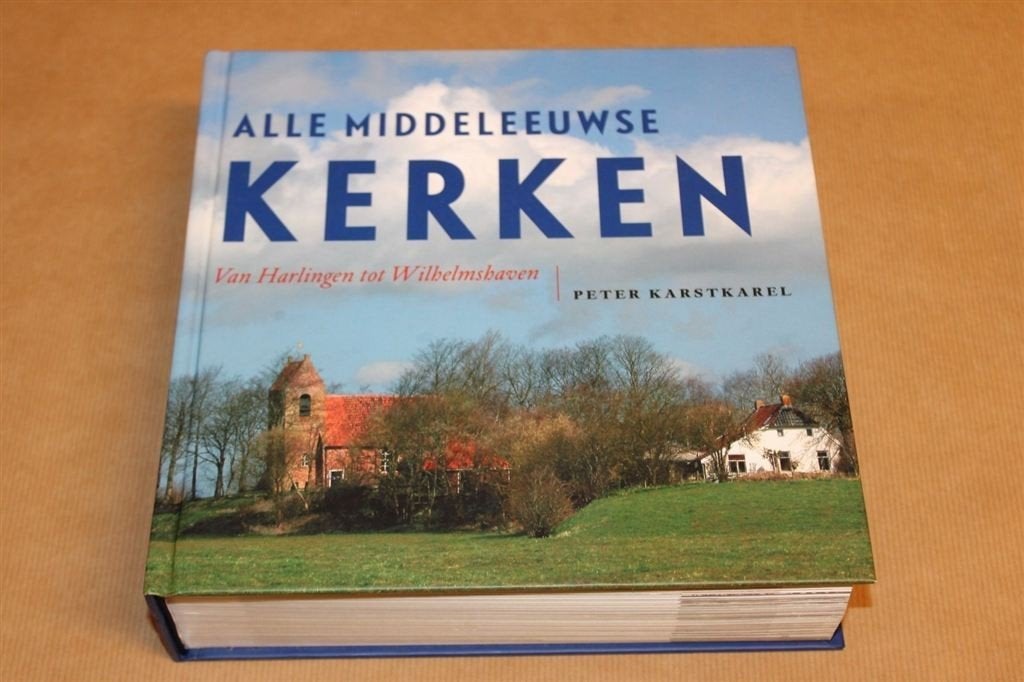 Alle Middeleeuwse Kerken - Van Harlingen tot Wilhelmshaven, Boeken, Ophalen of Verzenden, 14e eeuw of eerder, Zo goed als nieuw