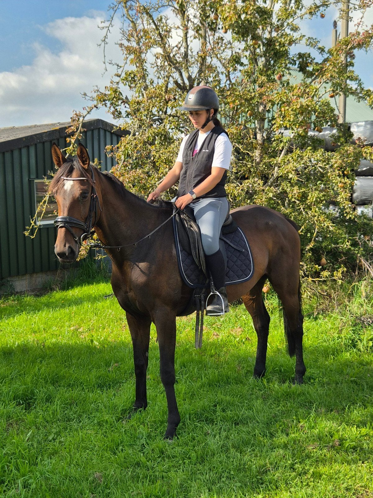 bloedjemooie fijne 4.5 jarige merrie 162cm, Dieren en Toebehoren, Met stamboom, Zadelmak, 3 tot 6 jaar, Recreatiepony