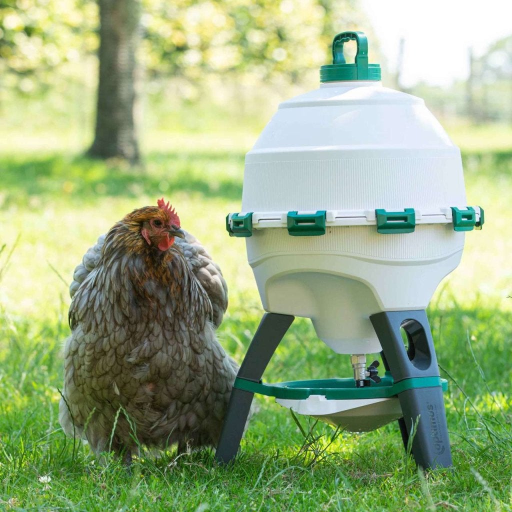 OPTIMUS: Sifondrinker 25 liter, Niet ingevuld, Nieuw, Niet ingevuld, Niet ingevuld