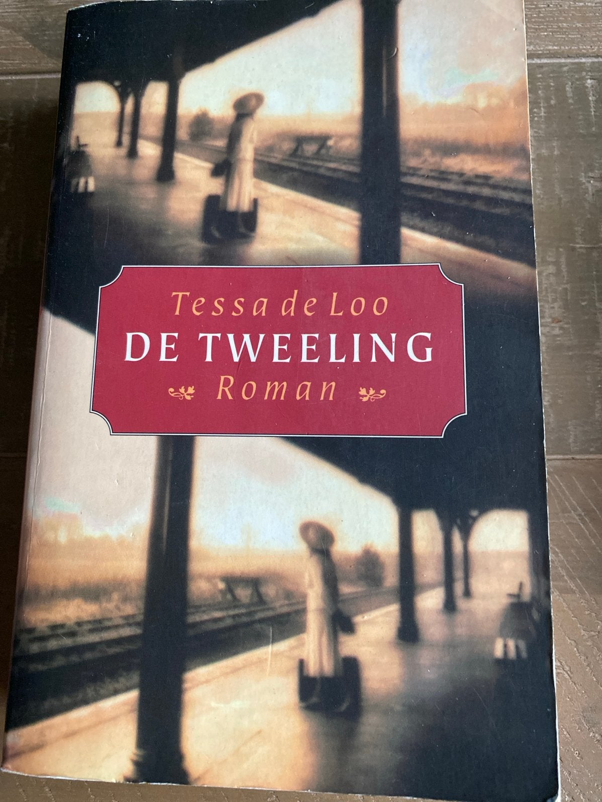 De Tweeling - Tessa de Loo (Roman), Ophalen of Verzenden, Gelezen, Nederland