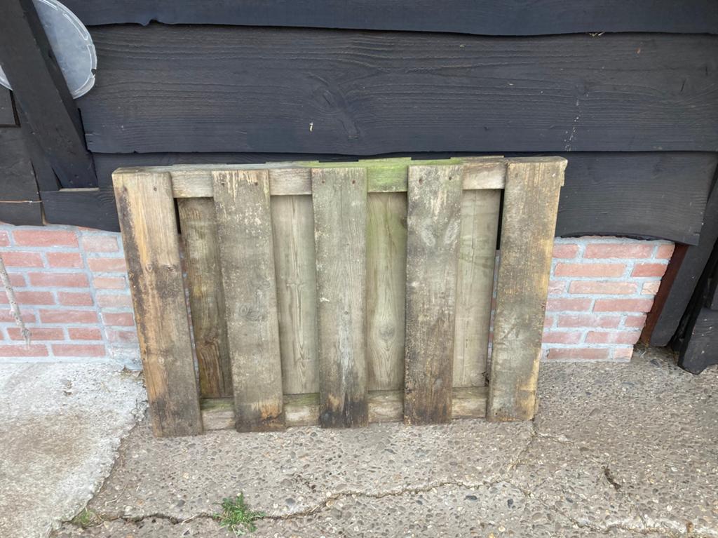 Hek of poort, Tuin en Terras, Tuinpoorten, Ophalen, Gebruikt, 200 cm of meer, Looppoort