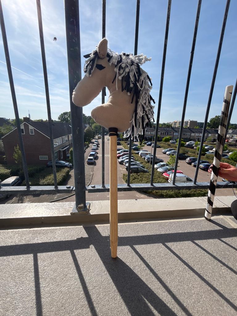 Fjord Hobby Horse - Handgemaakt en Uniek, Ophalen of Verzenden, Zo goed als nieuw, Jongen of Meisje
