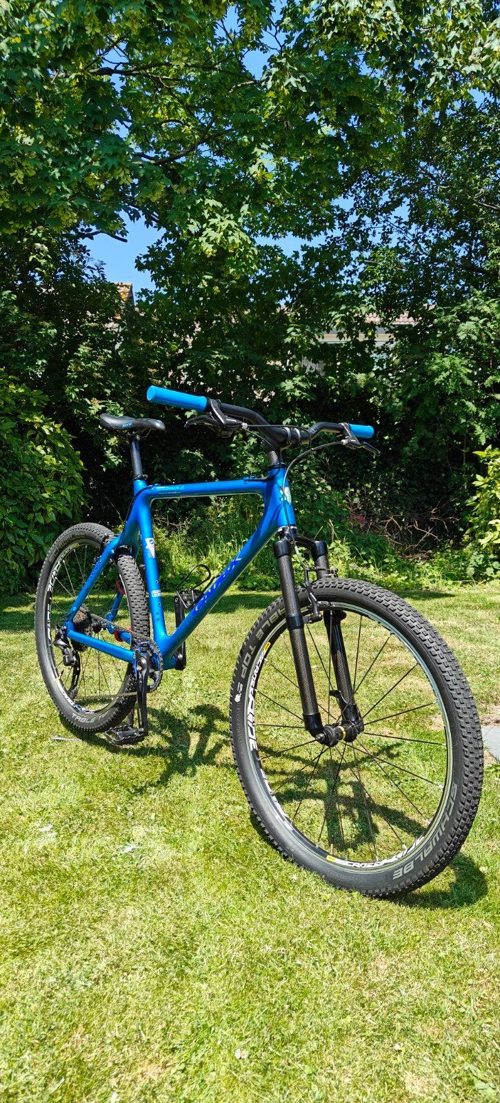 Giant Cadex Mountainbike - Vintage Carbon Frame, Fietsen en Brommers, Fietsen | Mountainbikes en ATB, Ophalen, Gebruikt, Giant