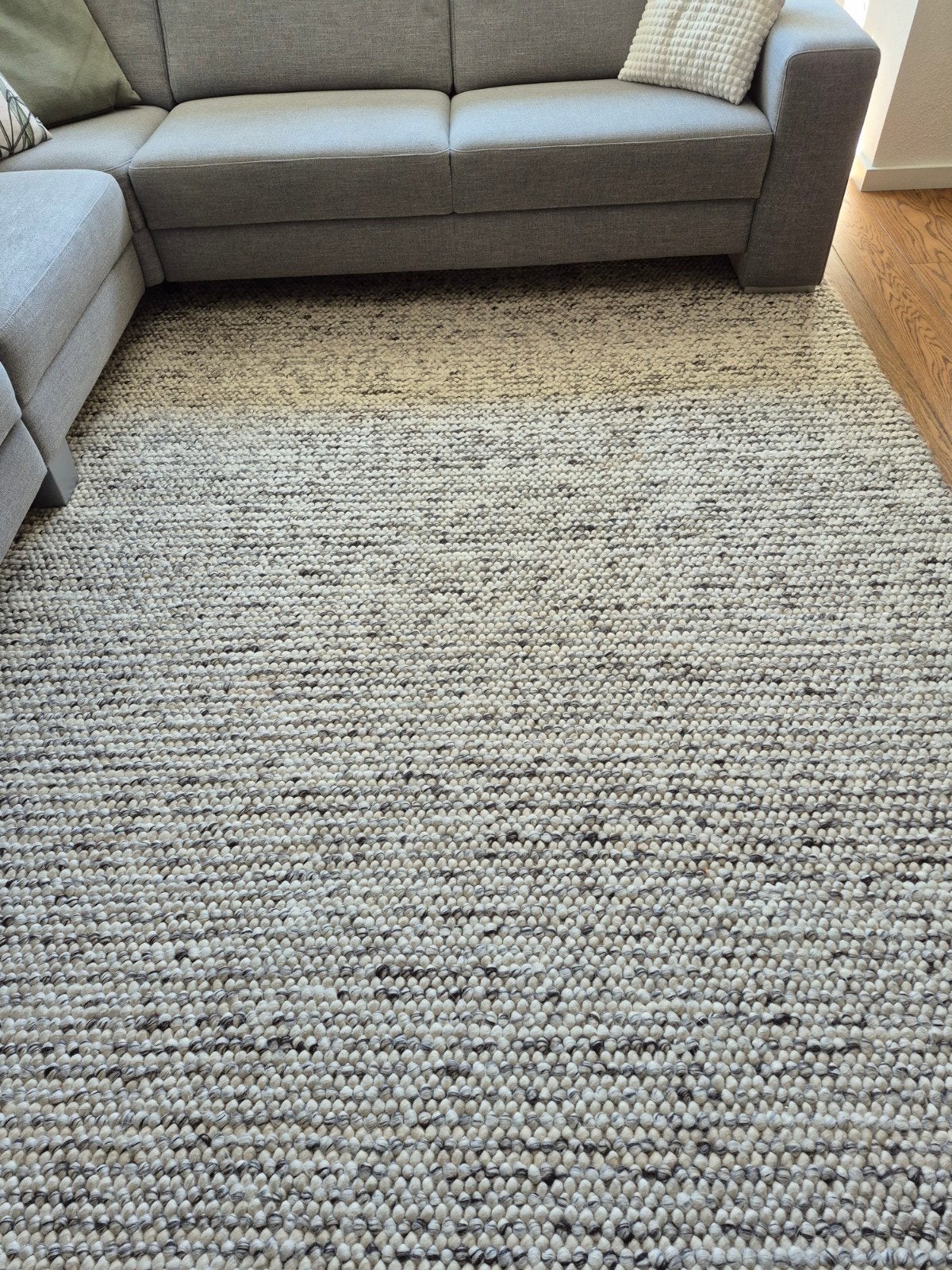 Vloerkleed. 300 x 210 centimeter, Ophalen, Gebruikt, Rechthoekig, 200 cm of meer