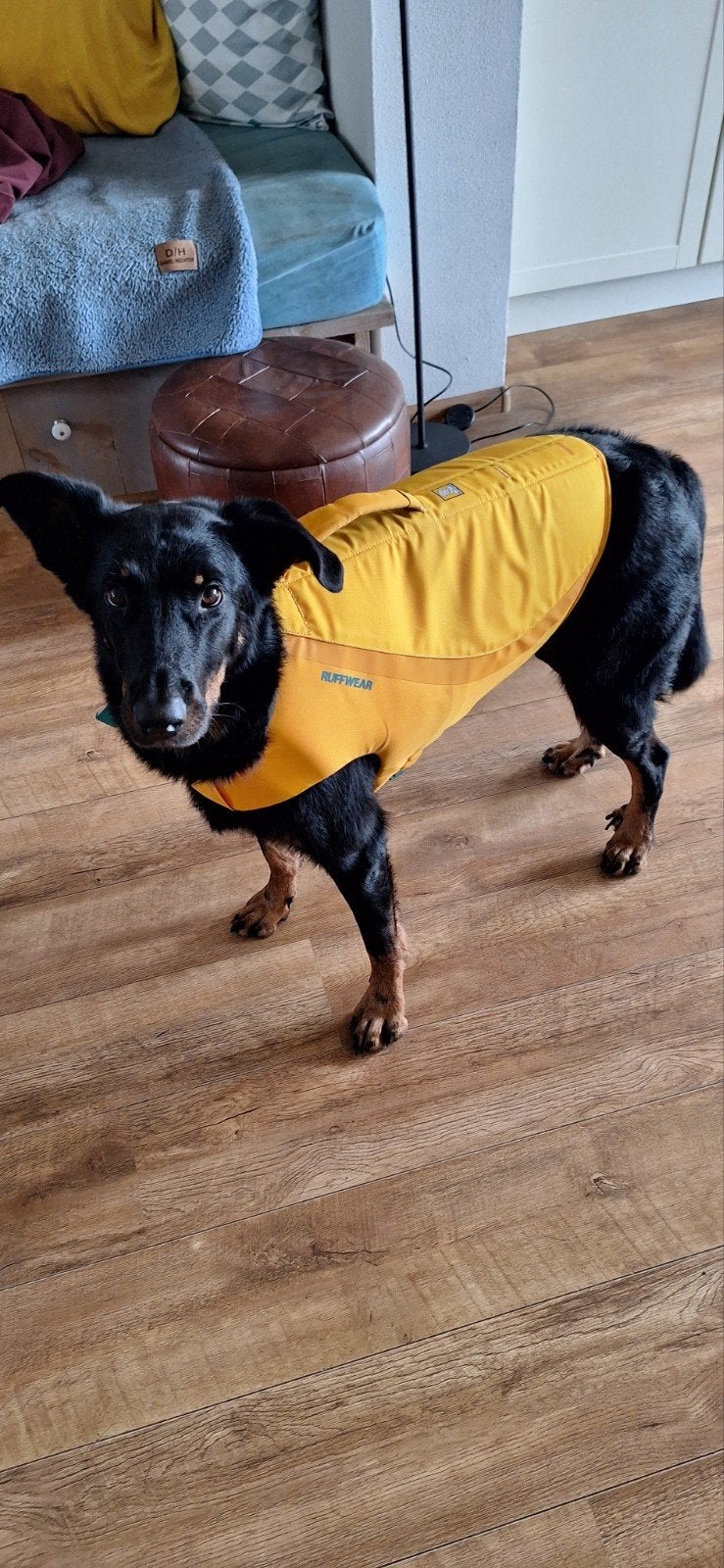 Ruffwear zwemvest XL, Dieren en Toebehoren, Ophalen of Verzenden, Zo goed als nieuw, Hondenjas