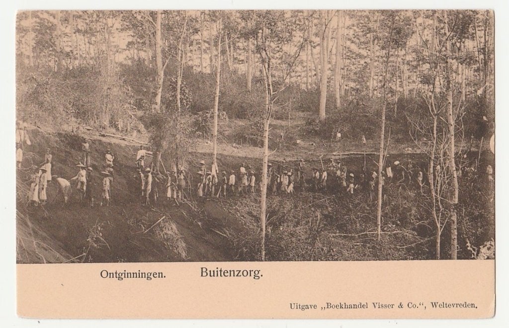 Ned. Indië.  Buitenzorg.  Ontginningen.   Java.  Azië., Verzenden, Voor 1920, Ongelopen, Zuid-Holland