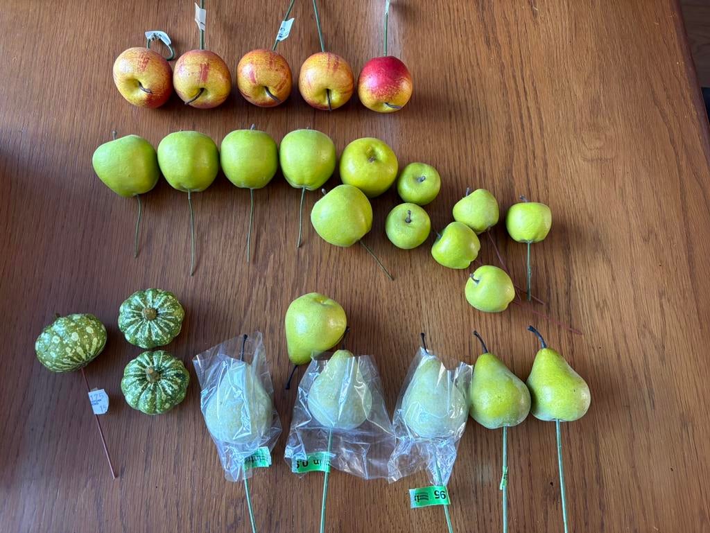 Nep fruit voor in stukjes te verwerken, Hobby en Vrije tijd, Overige Hobby en Vrije tijd, Ophalen of Verzenden, Nieuw