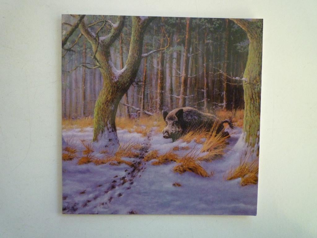 Keiler speurt wissel af kunstkaart Hans Bulder everzwijn WWF, Ophalen of Verzenden, Voor 1920, Hond of Kat