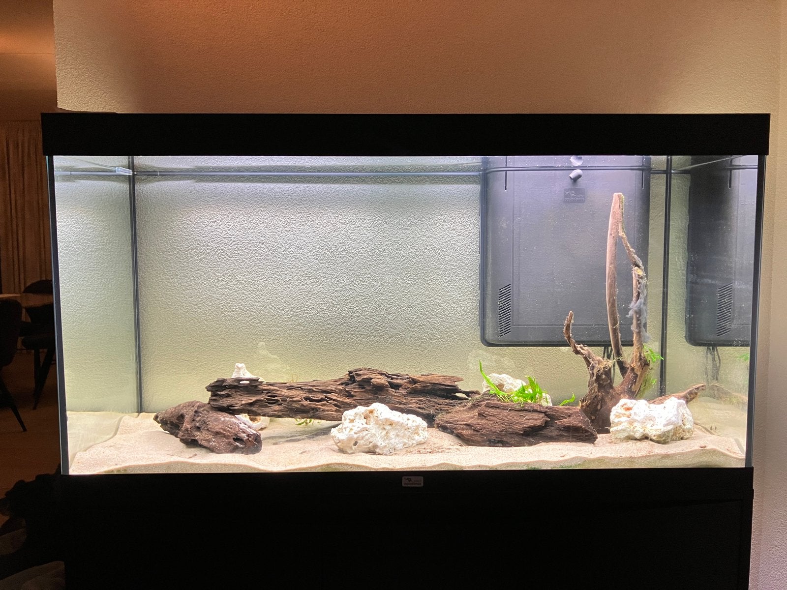 Zo goed als nieuw Aquatlantis Volga 350 L  (incl toebehoren), Ophalen, Aquatlantis, Inclusief toebehoren, Gevuld zoetwateraquarium