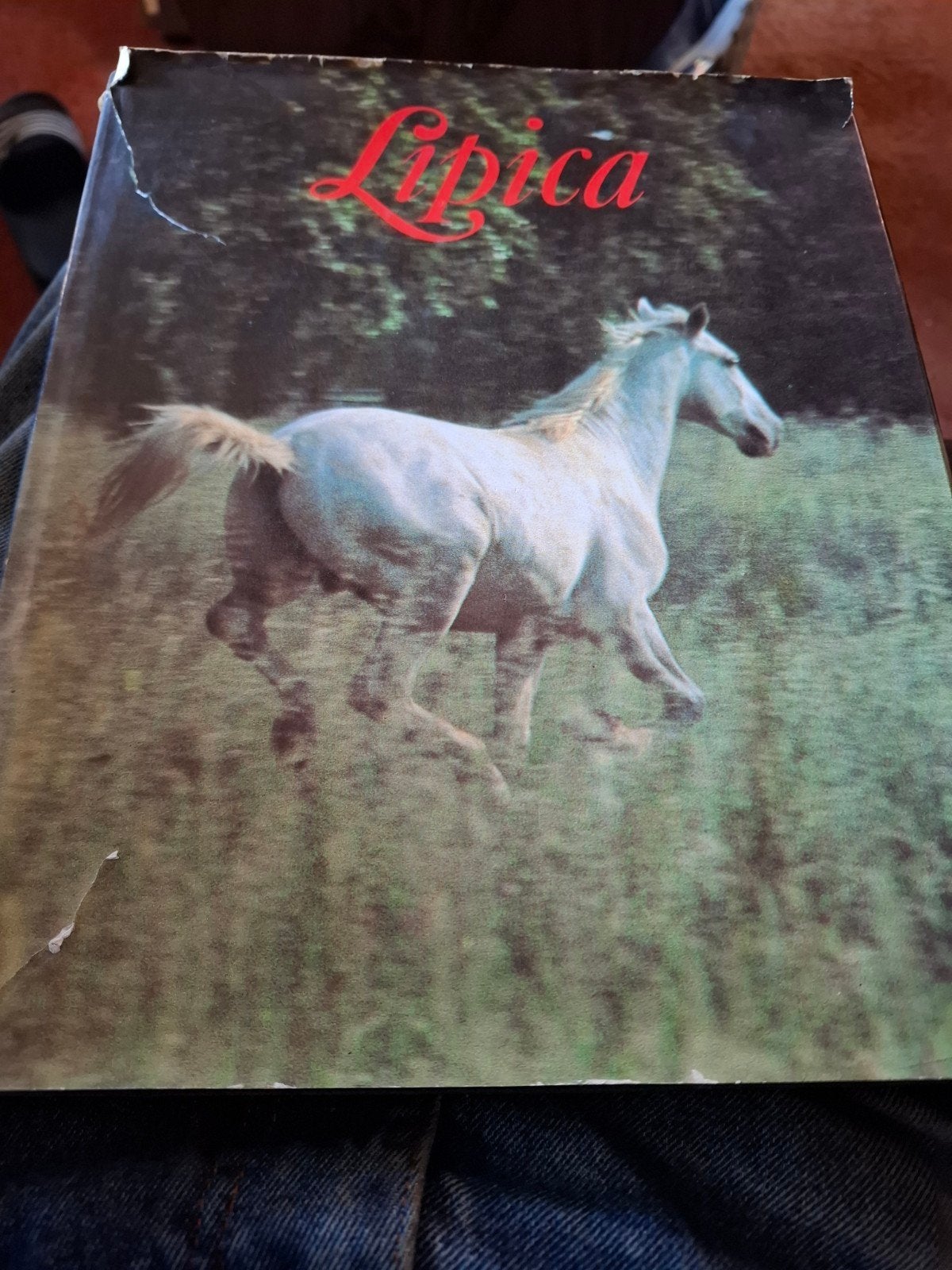 Lipica - Boek over Lipizzaner paarden, Ophalen of Verzenden, Gelezen, Paarden of Pony's, Milan Dolenc