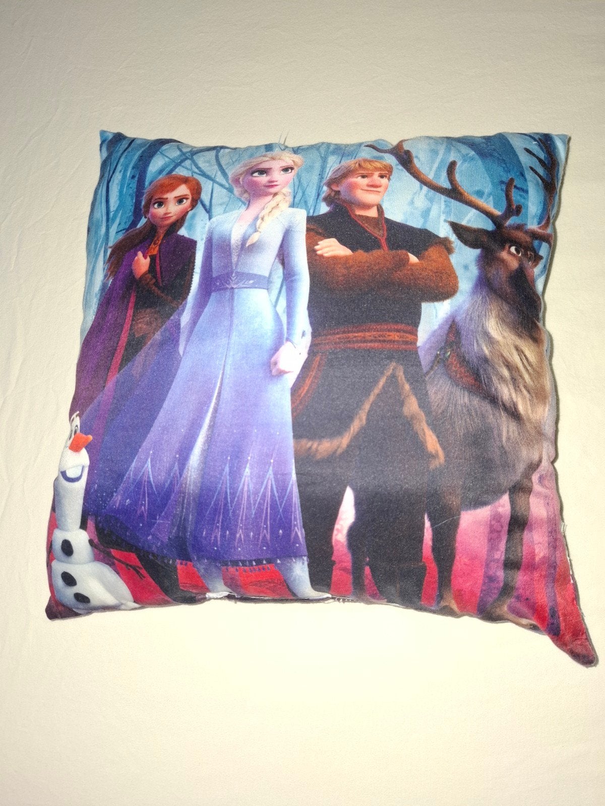 Frozen kussen met Elsa, Anna, Kristoff en Sven, Overige merken, Gebruikt, Meerkleurig, Met print