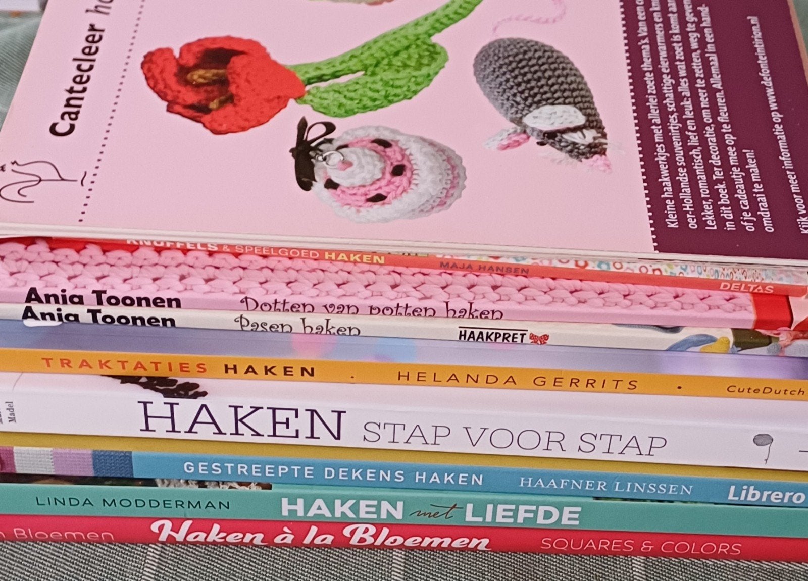 Diverse haakboeken: van beginners tot gevorderden, Ophalen of Verzenden, Zo goed als nieuw, Breien en Haken