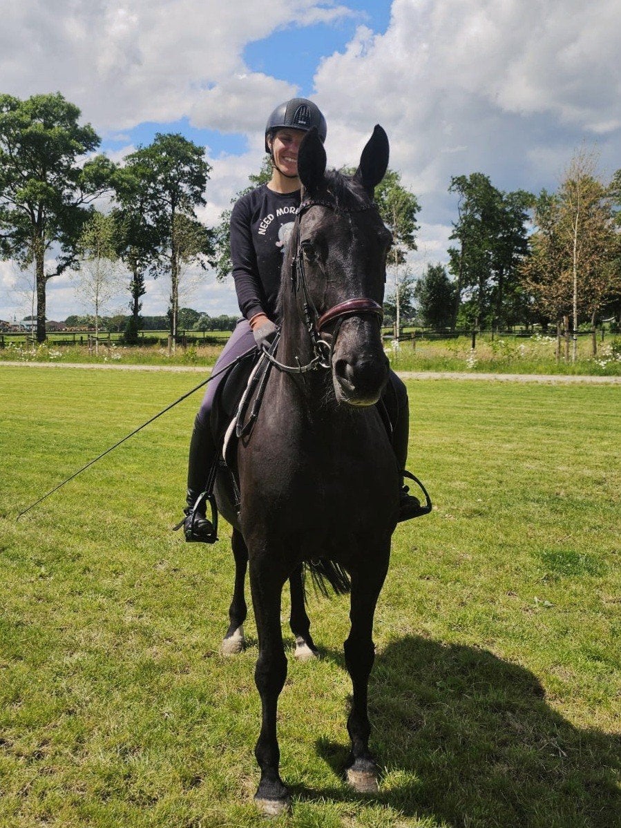 Eerlijke leermeester met karakter, Dieren en Toebehoren, Merrie, Met stamboom, L, 7 tot 10 jaar