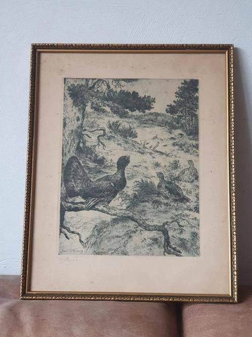 AXEL ÖSTERBERG. "Tjäderspel", ets, gesigneerd in de plaat., Antiek en Kunst, Ophalen, Ets, Gesigneerd