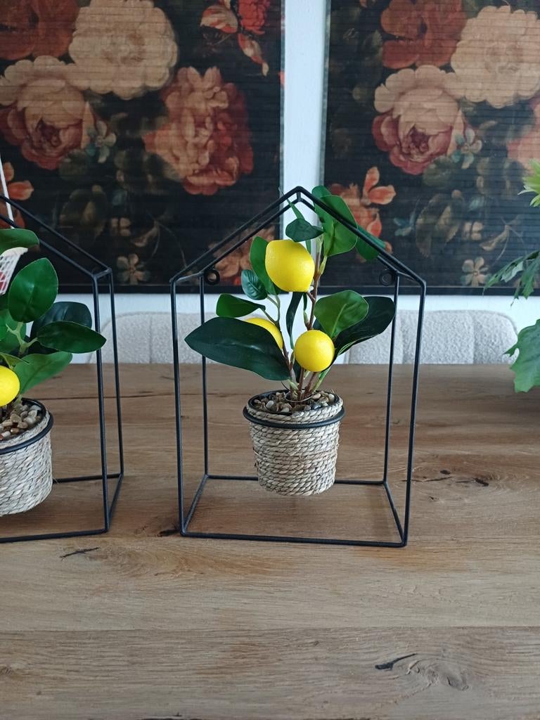 Kunstplant citroen in metalen huisje, Ophalen of Verzenden, Nieuw