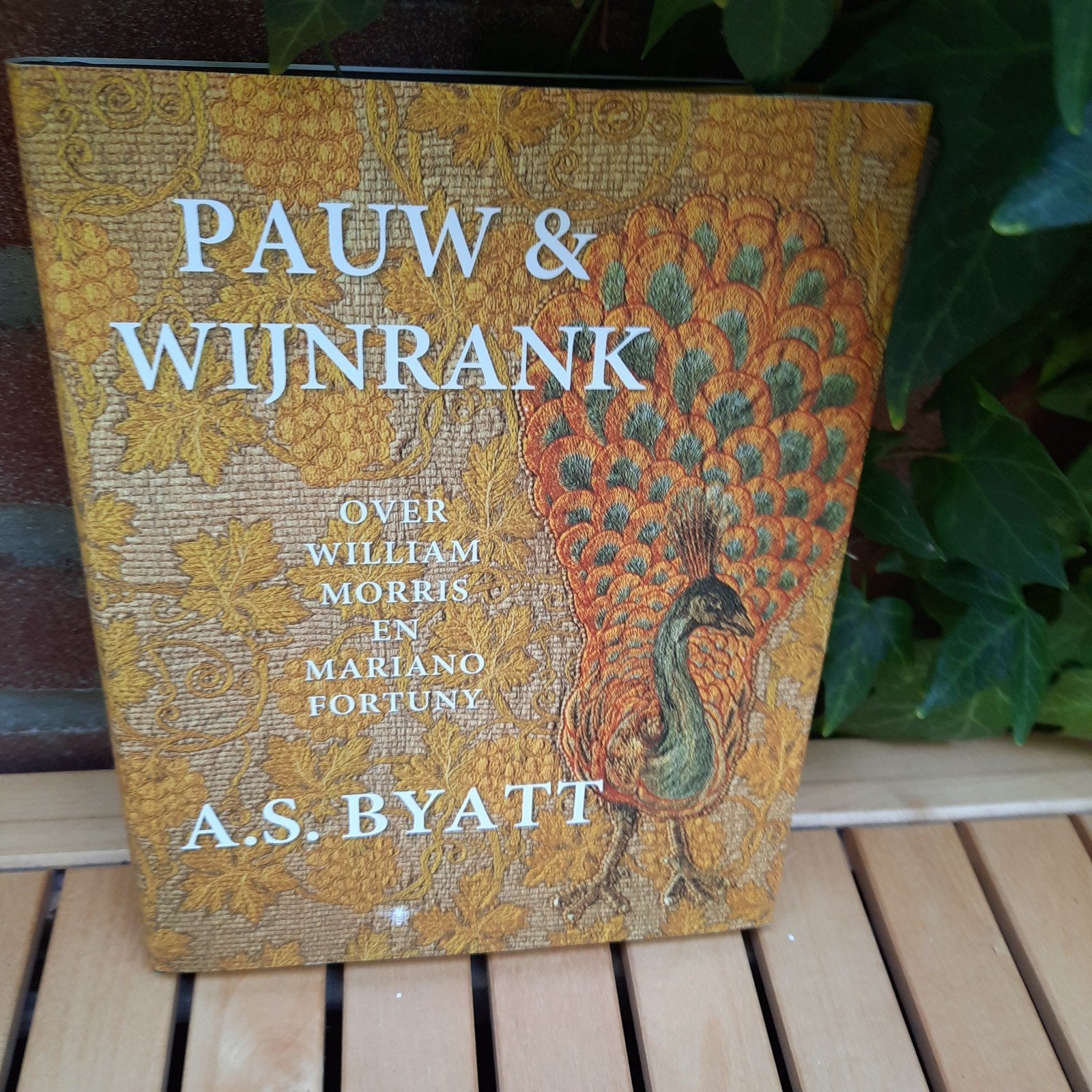 Pauw & Wijnrank, over William Morris en Mariano Fortuny, Ophalen of Verzenden, Zo goed als nieuw