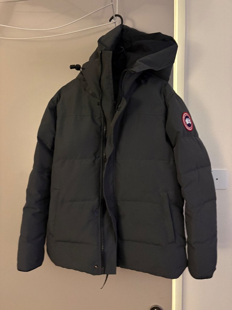 Canada Goose jas maat L (valt klein) - Grijs, Ophalen, Maat 52/54 (L), Canada Goose, Grijs