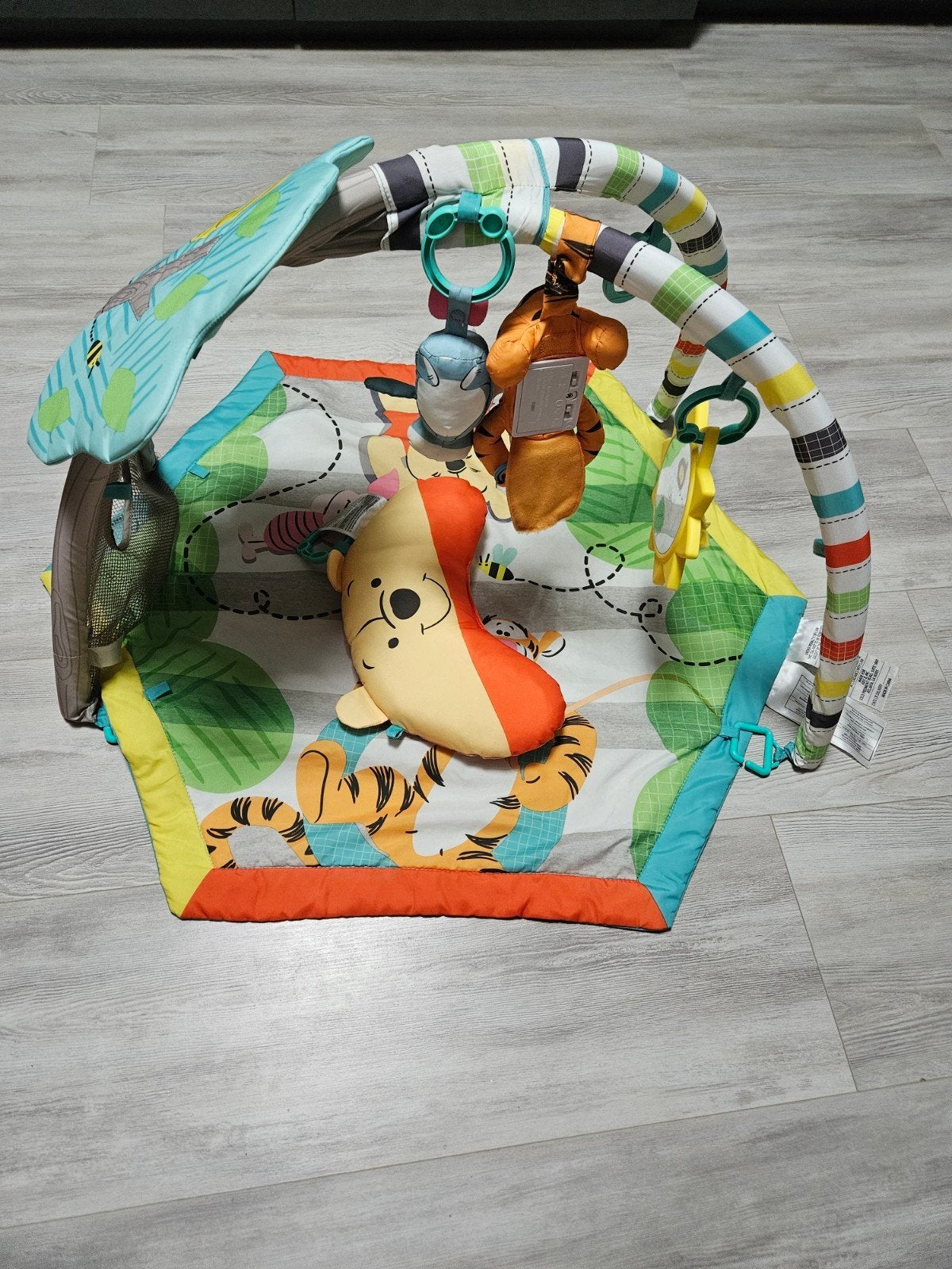 Winnie de Pooh babygym, Ophalen