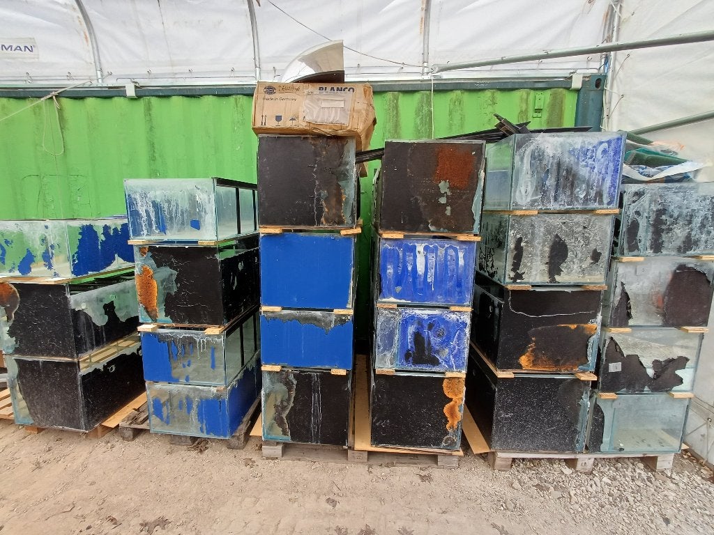 29 stuks Aquarium / kweekbak, Dieren en Toebehoren, Vissen | Aquaria en Toebehoren, Ophalen, Gebruikt, Leeg aquarium