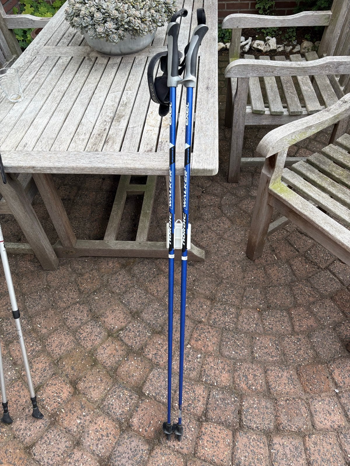 Nordic Walking Stokken - Exel Nordic Walker 120 cm, Ophalen, Gebruikt, Wandelstok