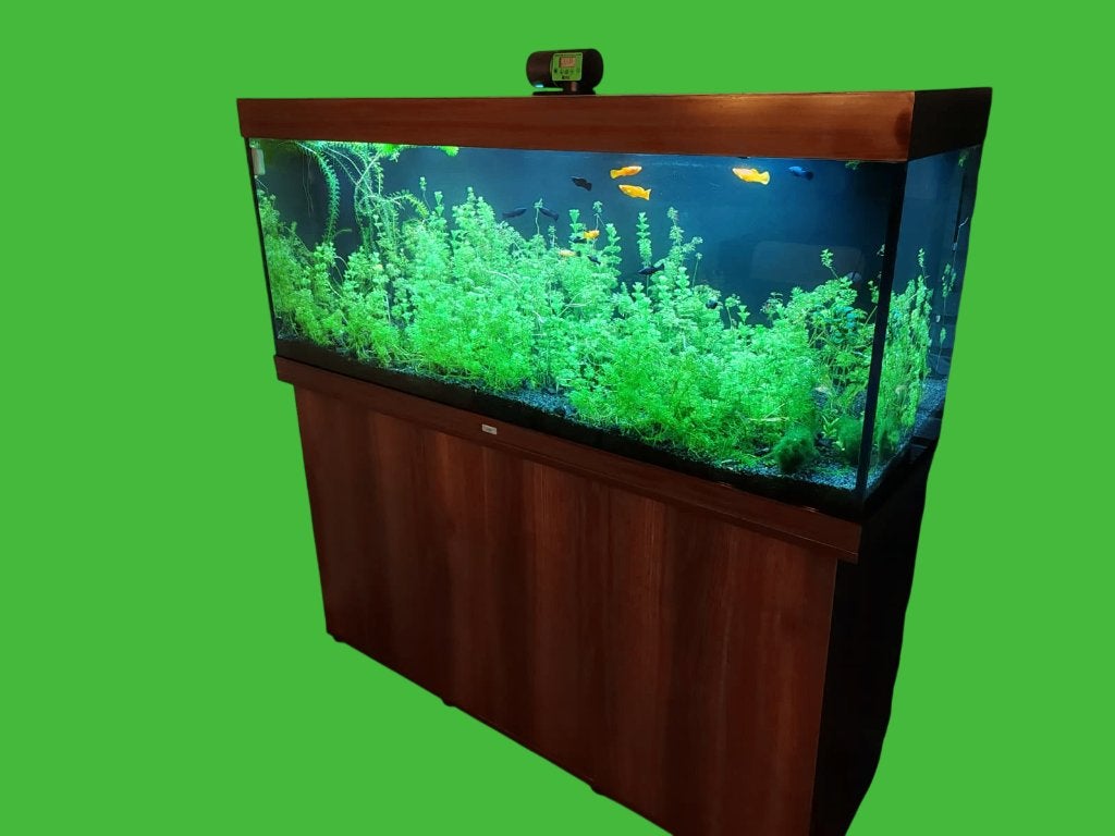 Aquarium Juwel rio 450 + kast + oase, Ophalen, Inclusief planten, Zo goed als nieuw, Leeg aquarium