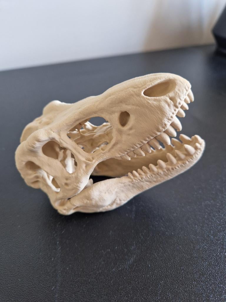 3D Geprinte T-Rex kop - Unieke decoratie, Beige, Overige stijlen, Nieuw, Kunststof