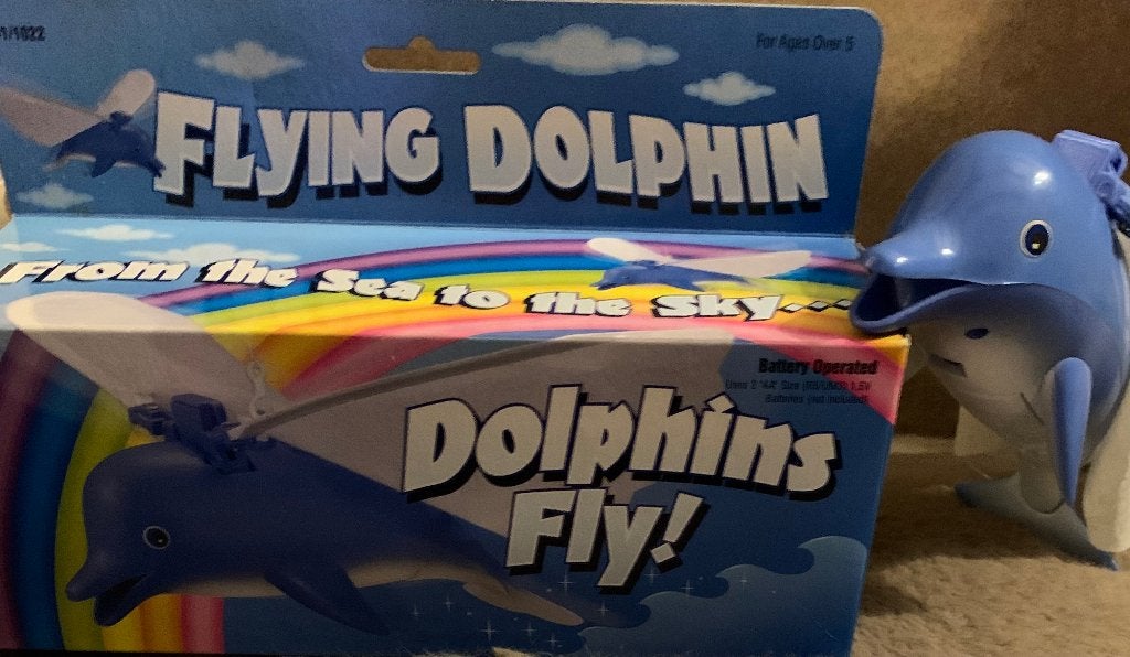 FLYING DOLPHIN NIEUW, Ophalen, Nieuw